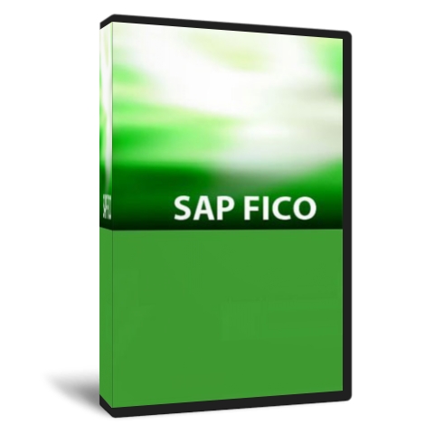 SAP Fico Financial Accounting