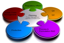 Project execution, Project Planning Project execution, Project Planning