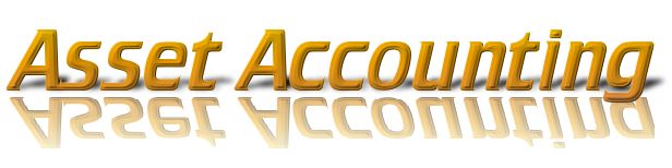 Outsourced asset accounting management services